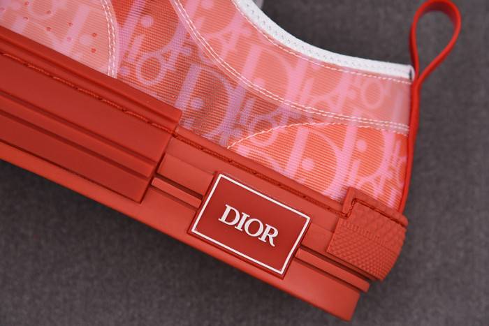 D10R B23 Oblique LOW Top Sneaker