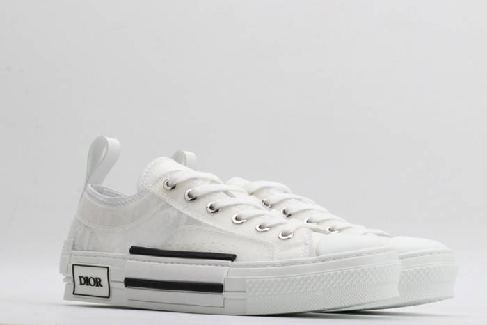 D10R B23 OBLIQUE LOW TOP SNEAKER