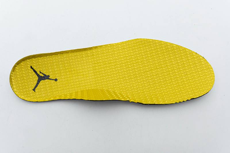 Air Jordan 5 Retro Michigan