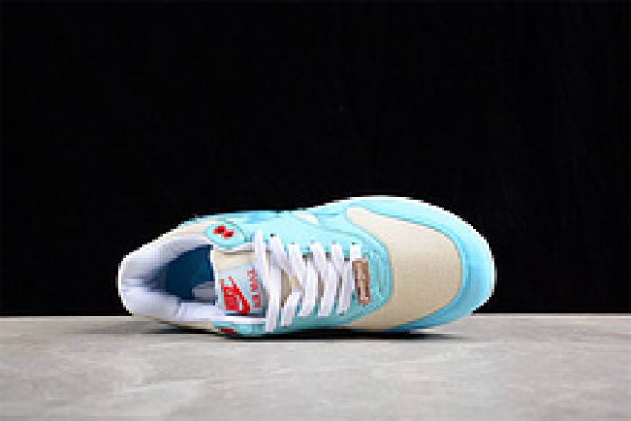 Nk Air Max 1 SPFD6955-400